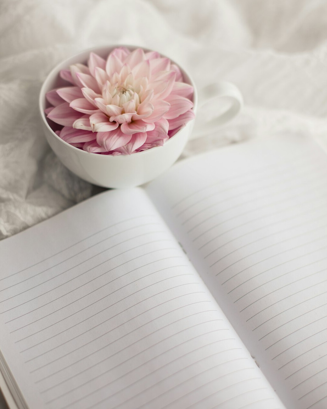 journal writing reflection